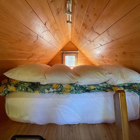 نيلسون Studio Or Cabin On Whitby المظهر الخارجي الصورة
