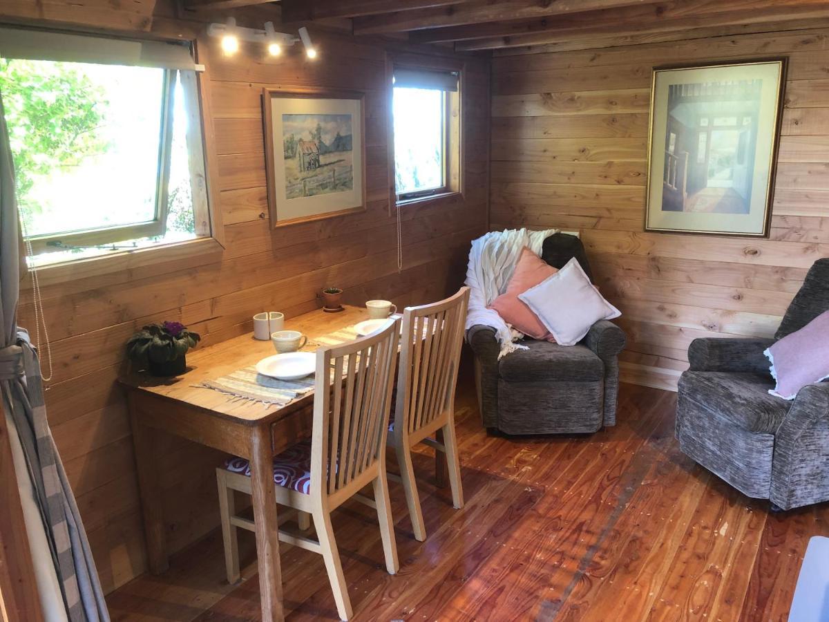 نيلسون Studio Or Cabin On Whitby المظهر الخارجي الصورة