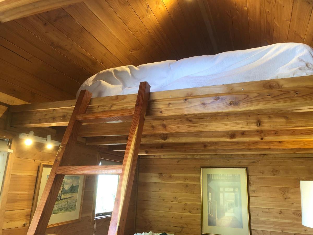 نيلسون Studio Or Cabin On Whitby المظهر الخارجي الصورة